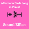 Thumbnail Afternoon Birds Song In Forest Sound Effect