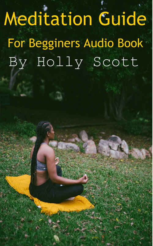 Product picture Mediation Guide For Beginners Audio Book By Holly Scott