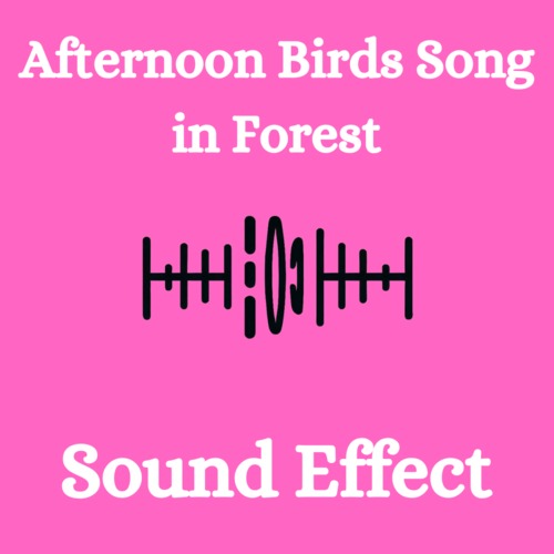 Product picture Afternoon Birds Song In Forest Sound Effect